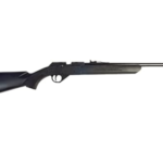 Best Budget Air Rifle for Pest Control