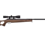 Best Air Rifle for Squirrels