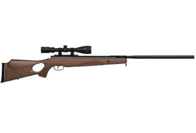 Best Air Rifle for Squirrels