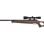 Best .22 Air Rifle for Squirrels
