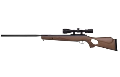 Best .22 Air Rifle for Squirrels