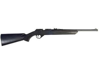 Best Budget Air Rifle for Pest Control