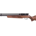Best Gamo Air Rifle for Squirrel Hunting