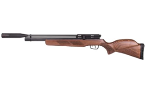 Best Gamo Air Rifle for Squirrel Hunting