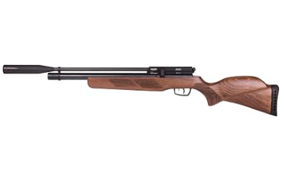 Best Gamo Air Rifle for Squirrel Hunting
