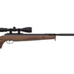 Best Air Rifle for Shooting Squirrels