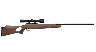 Best Air Rifle for Shooting Squirrels