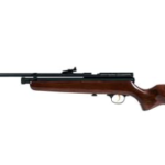 Best CO2 Air Rifle for Pest Control