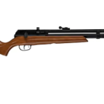 Best 22 Air Rifle for Rats
