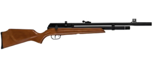 Best 22 Air Rifle for Rats