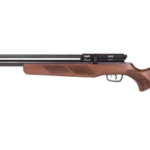 Which Gamo Air Rifle is the most Accurate
