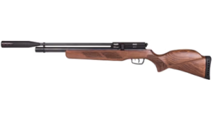 Which Gamo Air Rifle is the most Accurate