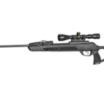 Best Pellet Guns for Pest Control