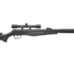 Best Air Rifle Under $300