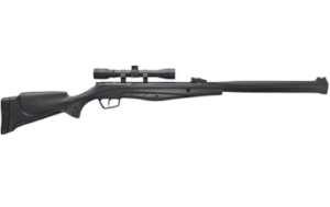 Best Air Rifle Under $300