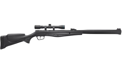 Best Air Rifle Under $300