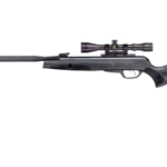 Best 22 Caliber Air Rifle for Hunting