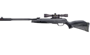 Best 22 Caliber Air Rifle for Hunting