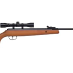 Best .177 Air Rifle for Hunting