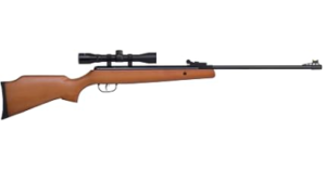 Best .177 Air Rifle for Hunting