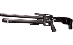 Best .22 Air Rifle for the Money
