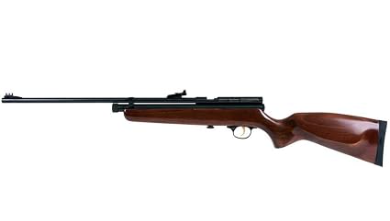 Best CO2 Air Rifle for Pest Control