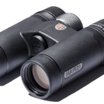 Best Compact Binoculars for Bird Watching