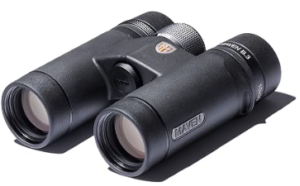 Best Compact Binoculars for Bird Watching