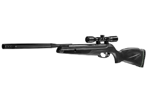 Best Gamo Air Rifle for Squirrel Hunting