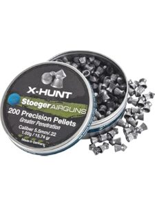Best .22 Pellet for Hunting