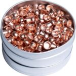 Best 22 Air Rifle Pellets for Hunting