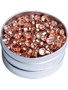 Best 22 Air Rifle Pellets for Hunting