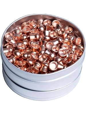 Best 22 Air Rifle Pellets for Hunting