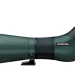 Best Swarovski Spotting Scope for Birding