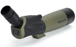 Best Budget Spotting Scope for Birding